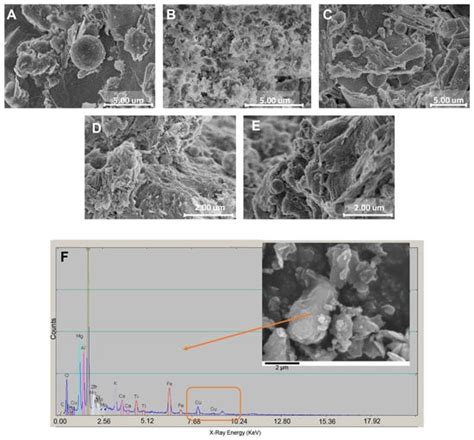 Colloids and Interfaces | An Open Access Journal from MDPI 