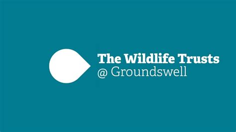 The Wildlife Trusts Groundswell By Youtube