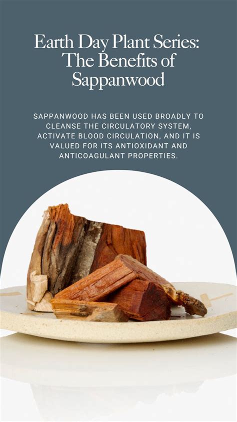 Earth Day Plant Series The Benefits Of Sappanwood Circulatory System