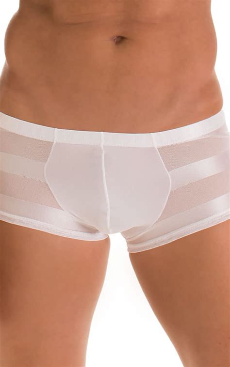 Fitted Pouch Boxer Swim Trunks In Super Thinskinz White And White Satin Stripe Mesh