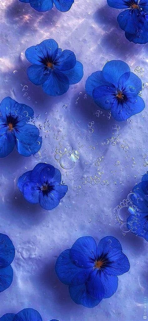 Blue Flowers in Liquid Wallpaper | Cute wallpaper backgrounds, Art ...