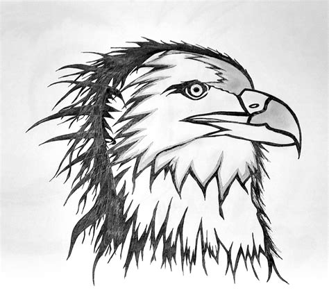 Eagle sketch.... : r/sketches