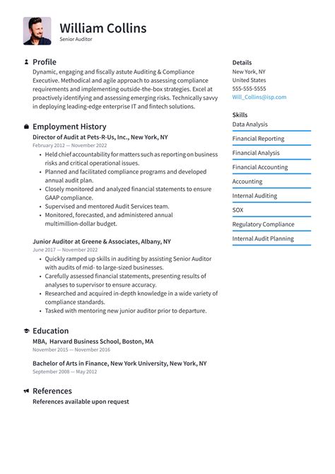 Auditor Resume Examples And Templates 2024 ·