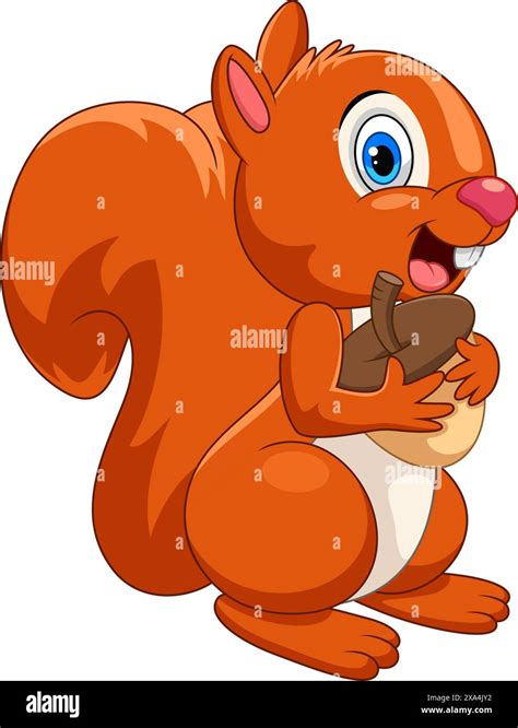 Cartoon Squirrel Holding A Nut Stock Vector Image Art Alamy