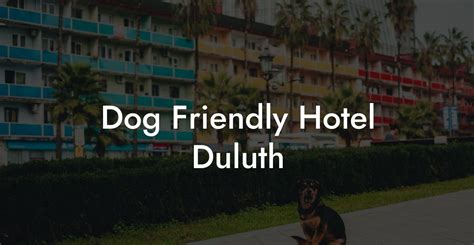 Dog Friendly Hotel Duluth Dog Hotels