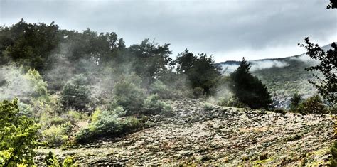 Pluie Et Brouillard Bernard BONIFASSI Flickr