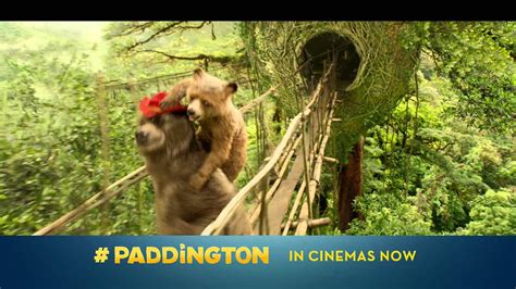 Paddington I M A Celebrity Tv Spot Youtube