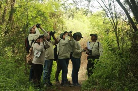 Congreso Crean Régimen Laboral Especial Del Cuerpo De Guardaparques