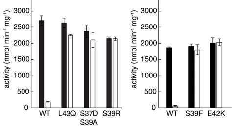 Substitutions Of Interface Residues Abolish Datp Induced Inhibition Of