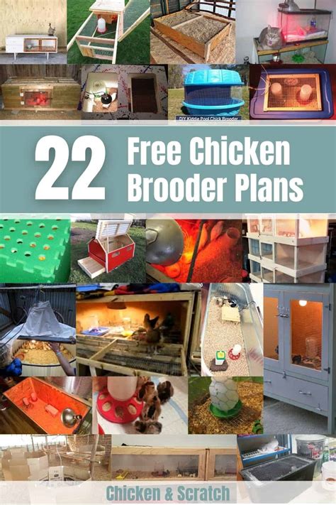 22 Free Chicken Brooder Plans You Can Diy Today