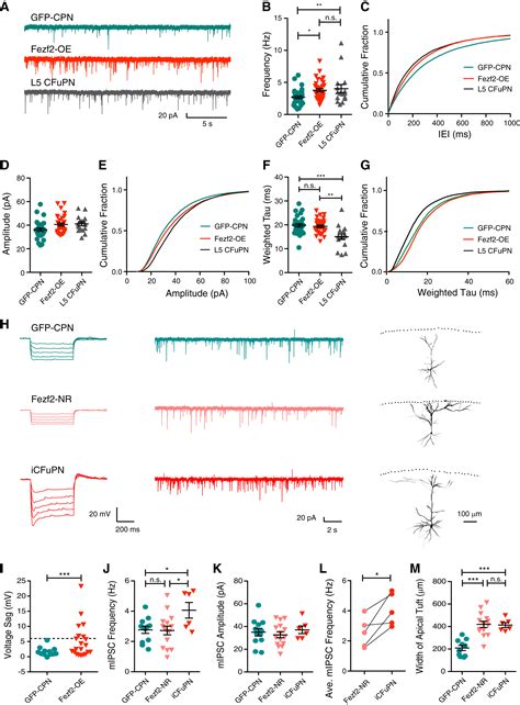 Instructing Perisomatic Inhibition By Direct Lineage Reprogramming Of