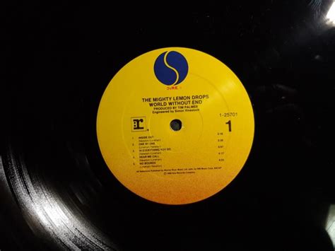 The Mighty Lemon Drops World Without End Us Pressing Vinyl Record