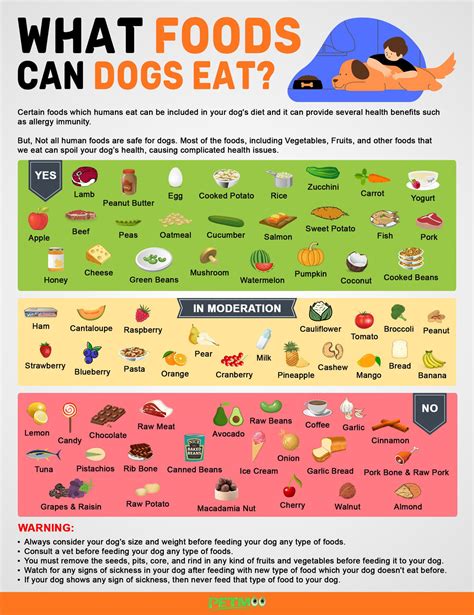 What Fruits And Veg Can Dogs Eat