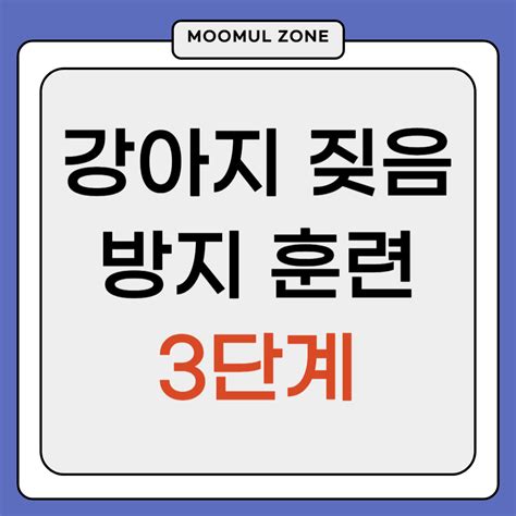 강아지 짖음 방지 훈련 3가지 단계로 관리해봐요 Moomul 무물