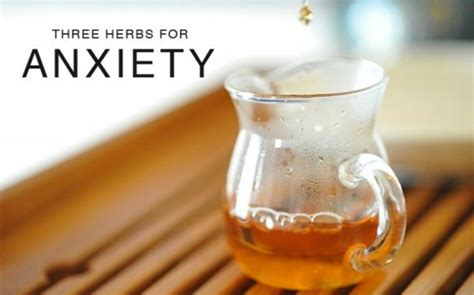 3 Herbs For Anxiety – Herbal Academy