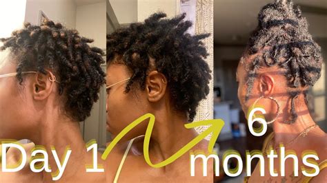 Visual Month Loc Journey Including Pics Videos Short Starter Locs