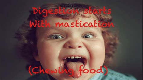 Digestion Starts With Mastication Chewing Food Youtube