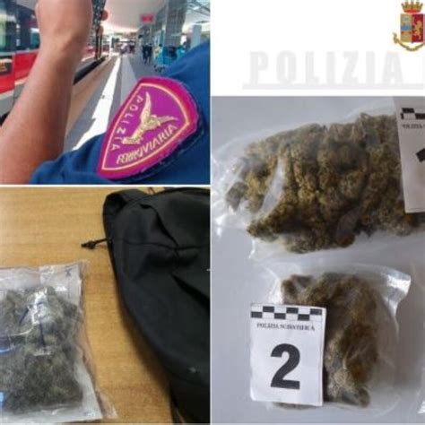 Catanzaro Beccato Con Oltre 200 Grammi Di Droga Nello Zaino Arrestato