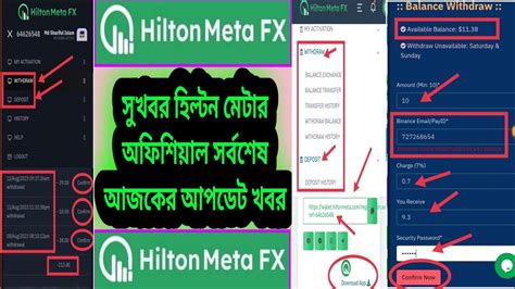 Hilton Meta Fx Official Update News Youtube