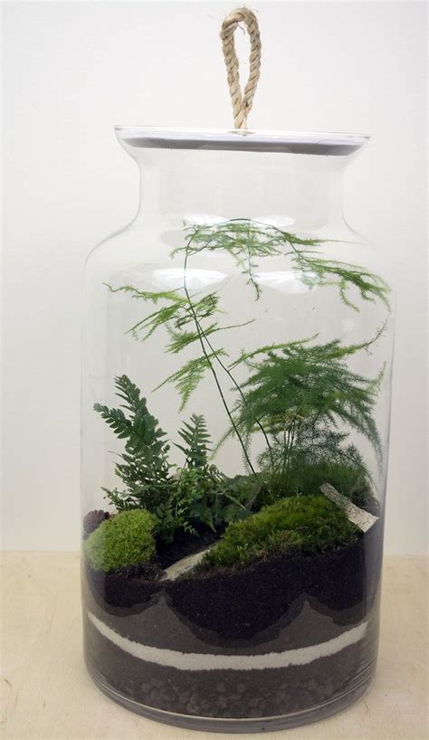 Stunning Bonsai Terrarium For Miniature Landscaping In The Jars