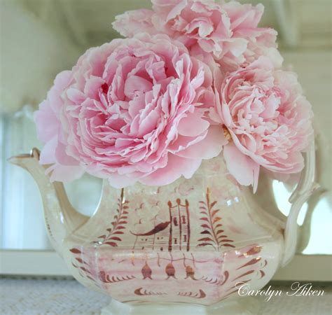 Aiken House & Gardens: Perfectly Pink Peonies