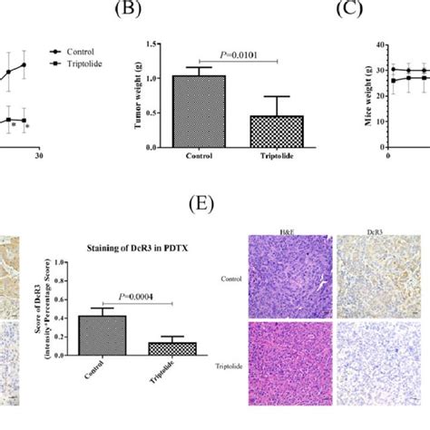 Triptolide TPL Inhibited Tumor Growth In DcR3 Overexpressing Oral