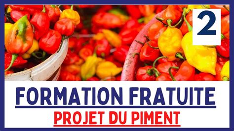 Formation Gratuite Les Raisons Pour Investir Dans Le Piment