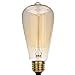 Westinghouse Lighting Watt St Amber Timeless Vintage