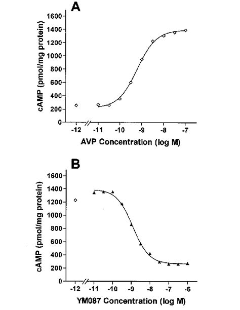 A Concentration Response Curve For Avp Induced Production Of Cellular