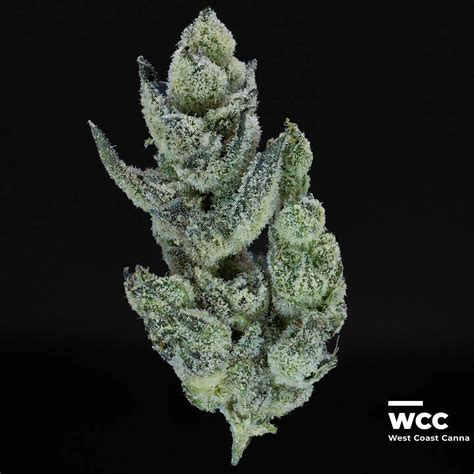 Holy Moly By Fig Farms In Depth Strain Review Westcoastcanna