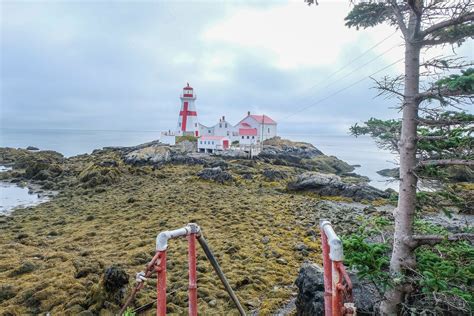 Campobello Island Travel Guide: Best of Campobello Island, New Brunswick Travel 2024 | Expedia.co.uk