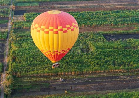 Hot Air Balloon Landing After Sunrise Flight In Luxor Egypt Stock Image Image Of High