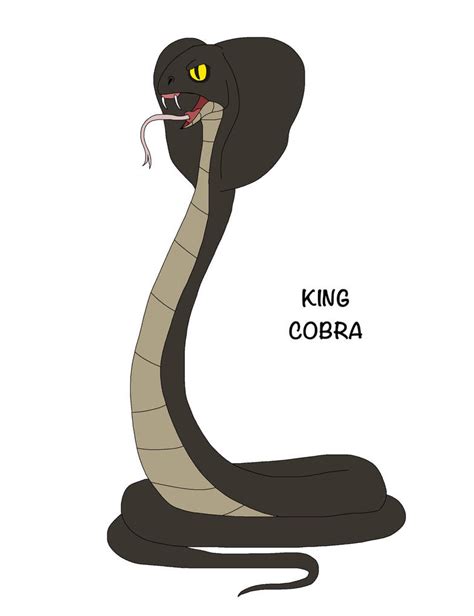 King Cobra By Darkseelstudio On Deviantart