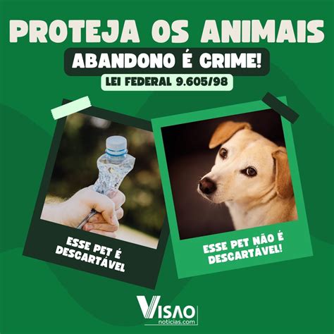 Animal morre após ser agredido e amarrado numa árvore sem agua e comida