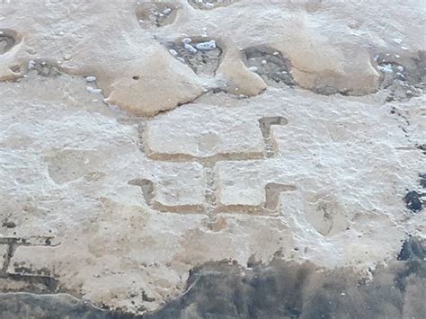 Texan Couple on Vacation Accidentally Discovers Ancient Hawaiian Petroglyphs