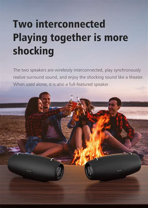 S Wireless Karaoke Speaker Zealot