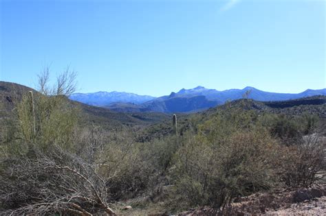 Arizona Javelina Hunting - Arizona WanderingsArizona Wanderings