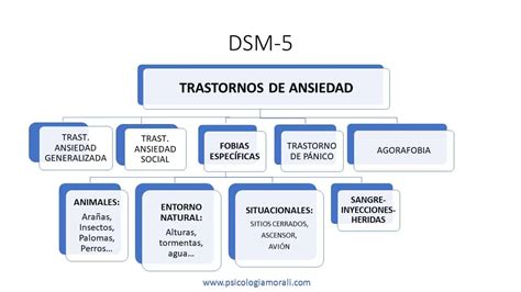 El Por Qué Y Tipos De Fobias Psicologia Morali Bcn