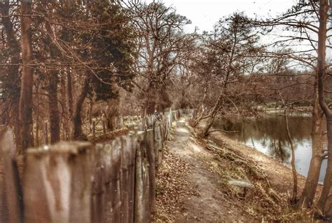 wollaton park lake friends  wollaton park