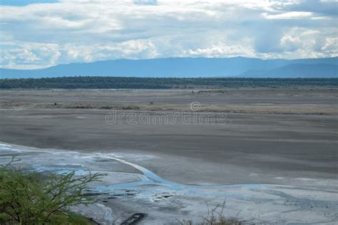 Lake Magadi with Flamingos at the Background, Rift Valley, Kenya Stock ...