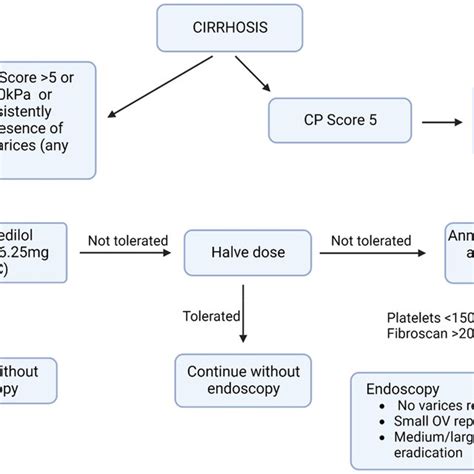 Pathophysiology Of Portal Hypertension And Sites Of Action Of