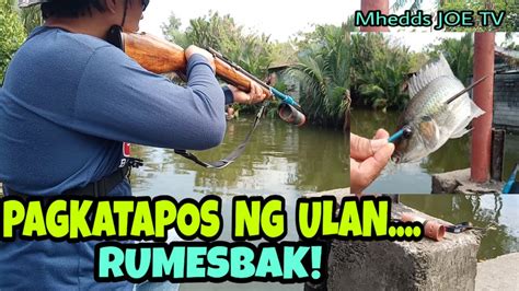 Tiksay Fish Hunting Pagkatapos Ng Ulan Rumesbak Shout Out Mhedds Joe Tv