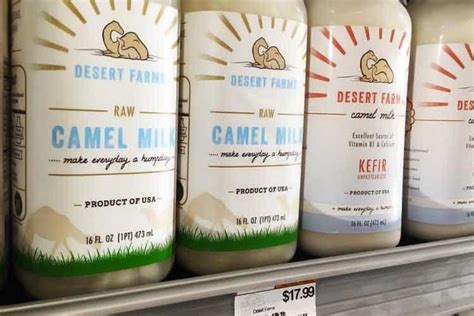 Camel Milk Kefir Nutrition | Besto Blog