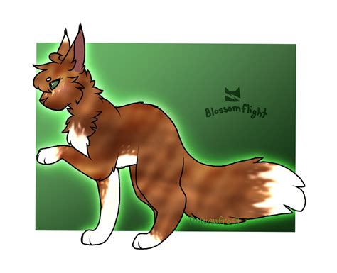 Rowan Blaisdell Thunderclan Oc Designs