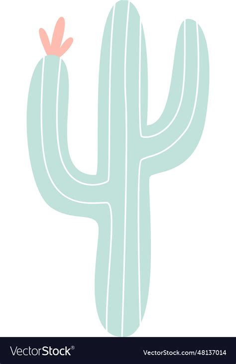 Cactus desert plant Royalty Free Vector Image - VectorStock