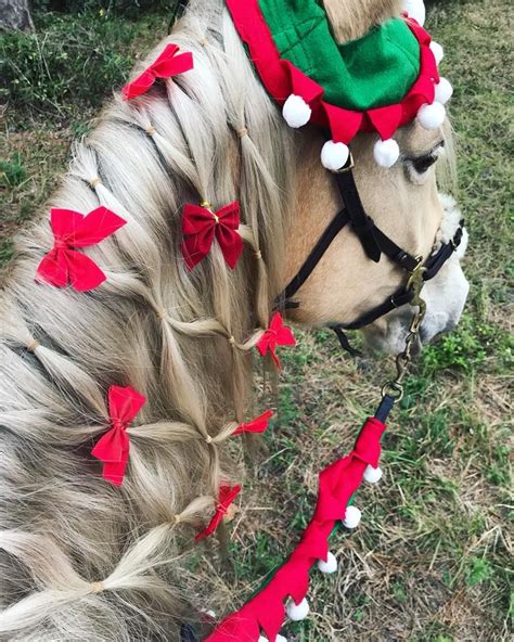 Pin By Lucka Ron On Equine Christmas Horses Christmas Horse Costumes