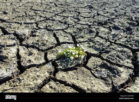 Agua Y Suelo Fotograf As E Im Genes De Alta Resoluci N Alamy