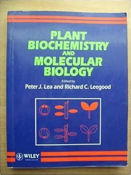 Amazon.com: Plant Biochemistry and Molecular Biology (9780471933137 ...