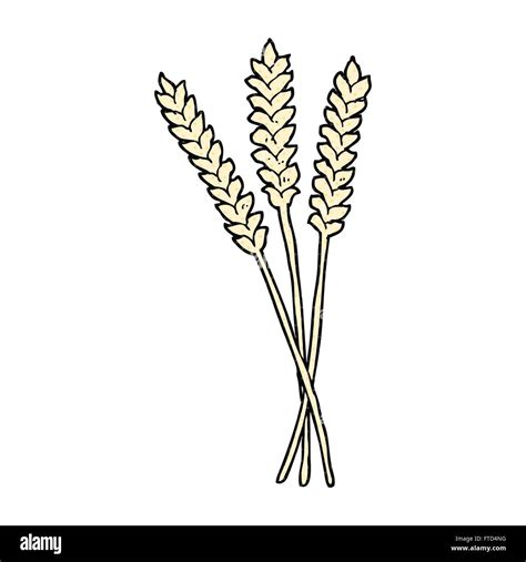 Freehand Drawn Cartoon Wheat Stock Vector Image And Art Alamy