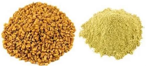 Fenugreek Extract Methi Packaging Type HDPE Drum At Rs 780 Kg In